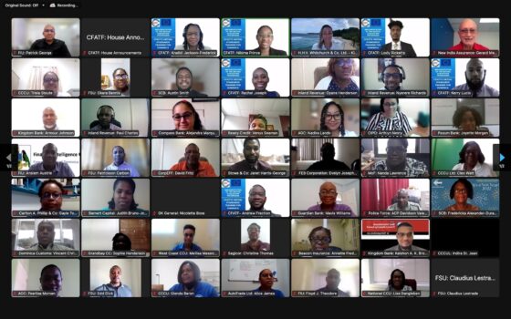 Standards Training delivered to Dominica